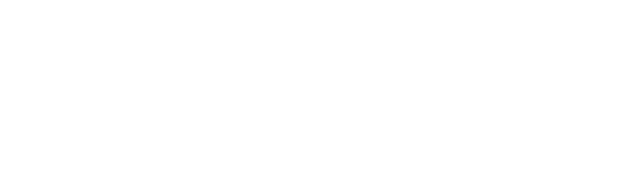 Insights Consulting